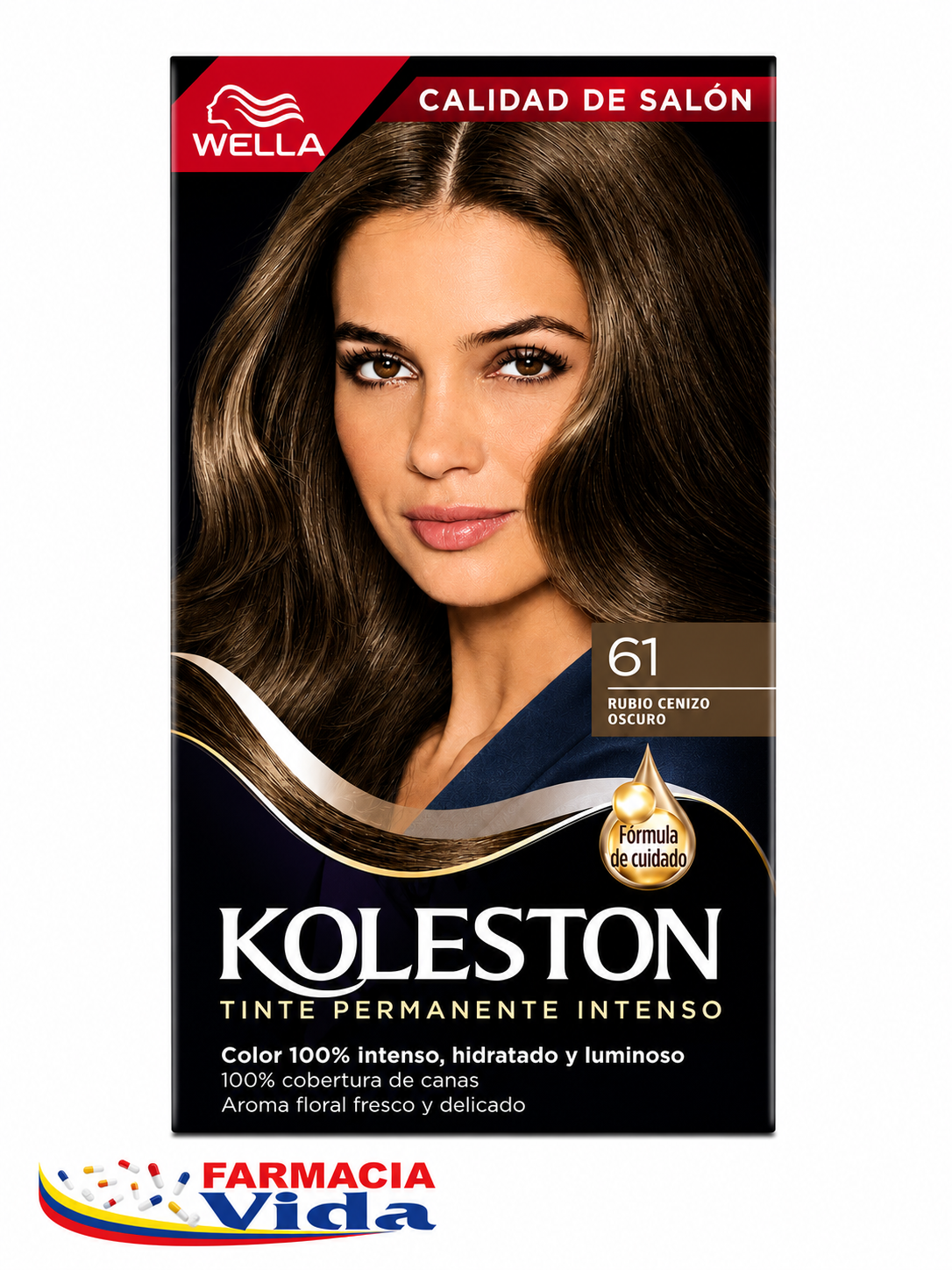 KOLESTON 61 RUBIO CENIZA OSCURO 