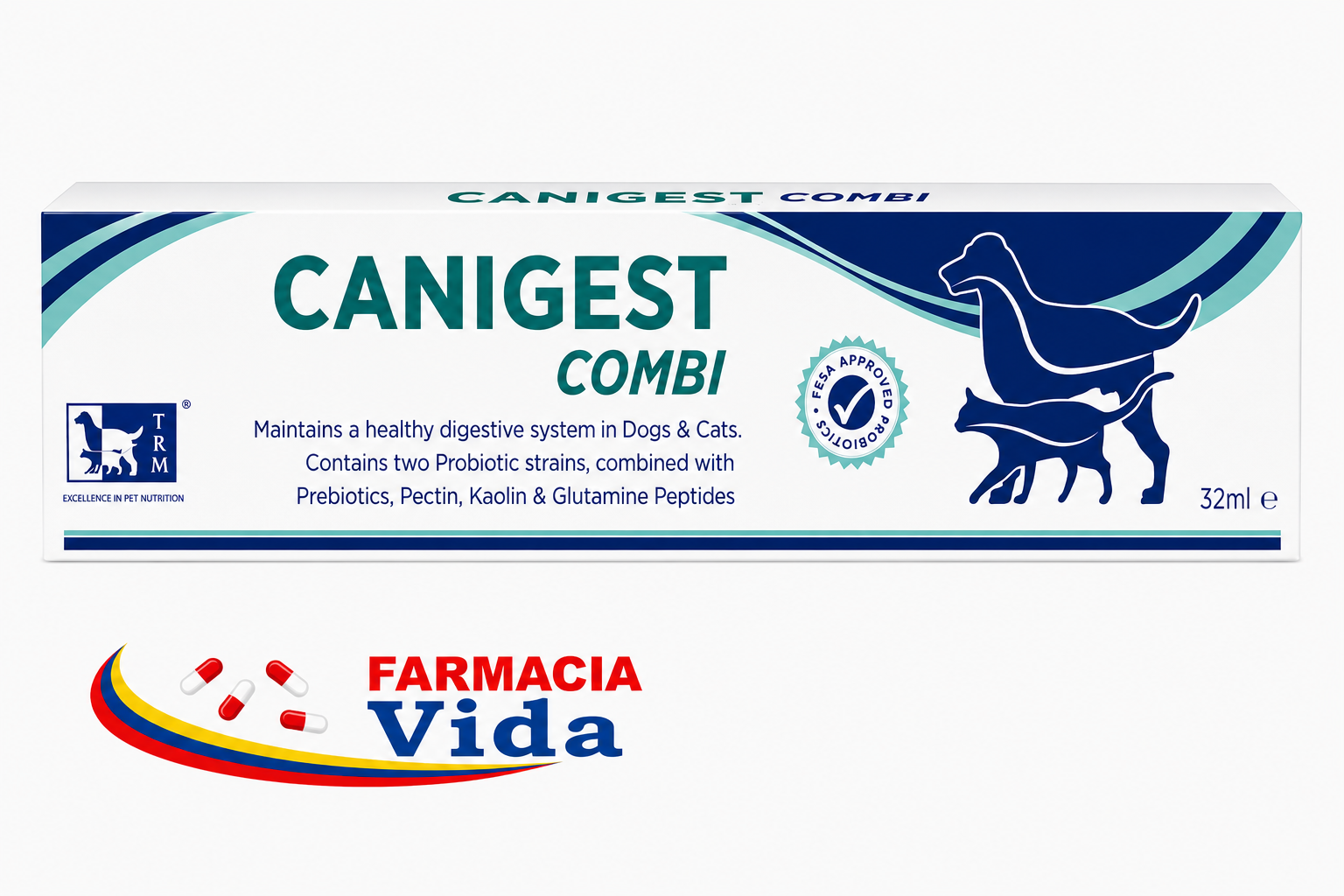 V CANIGEST PASTA 32 ML PERRO Y GATO