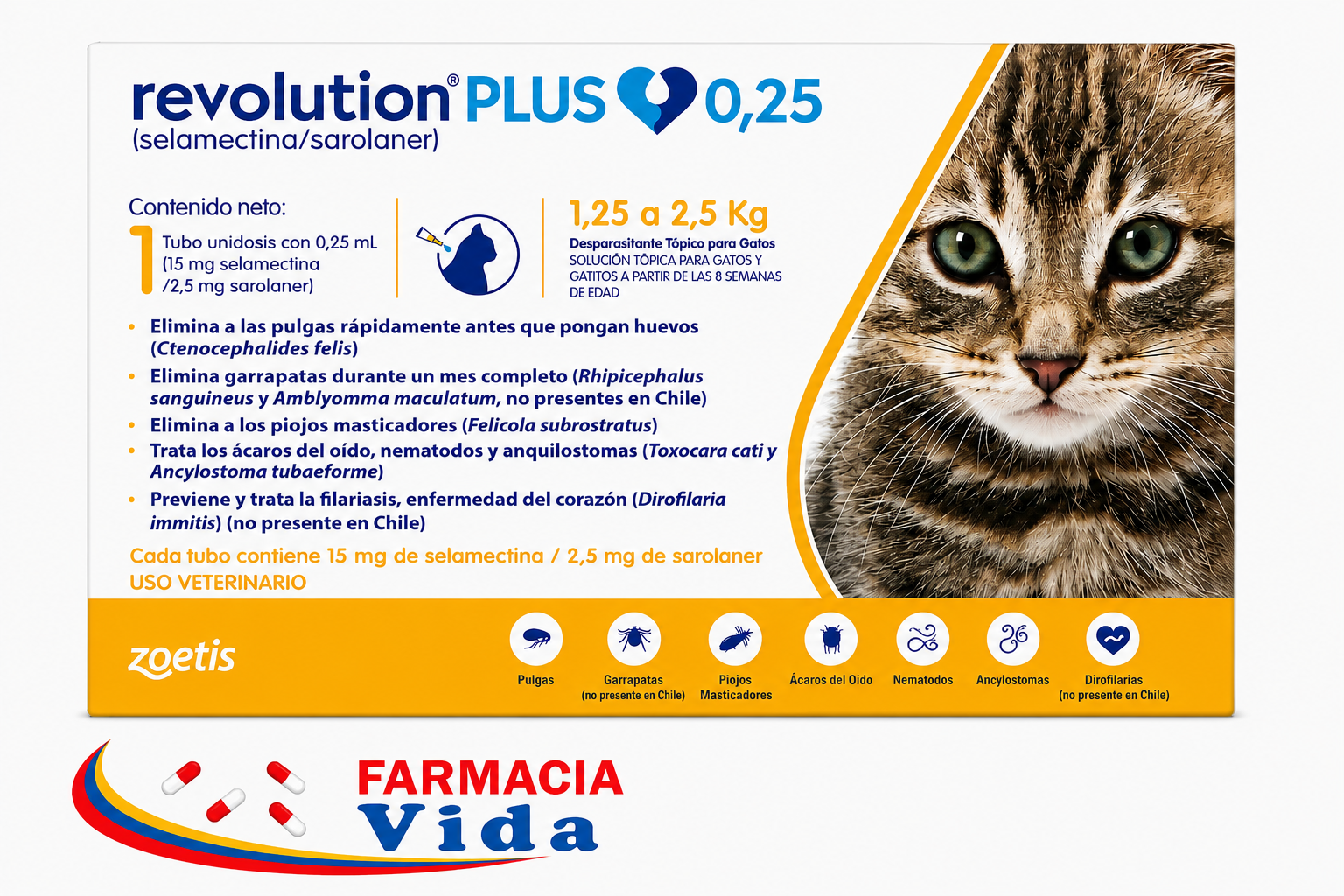 V-REVOLUTION PLUS PIPETA GATO 1,25-2,5 KG 