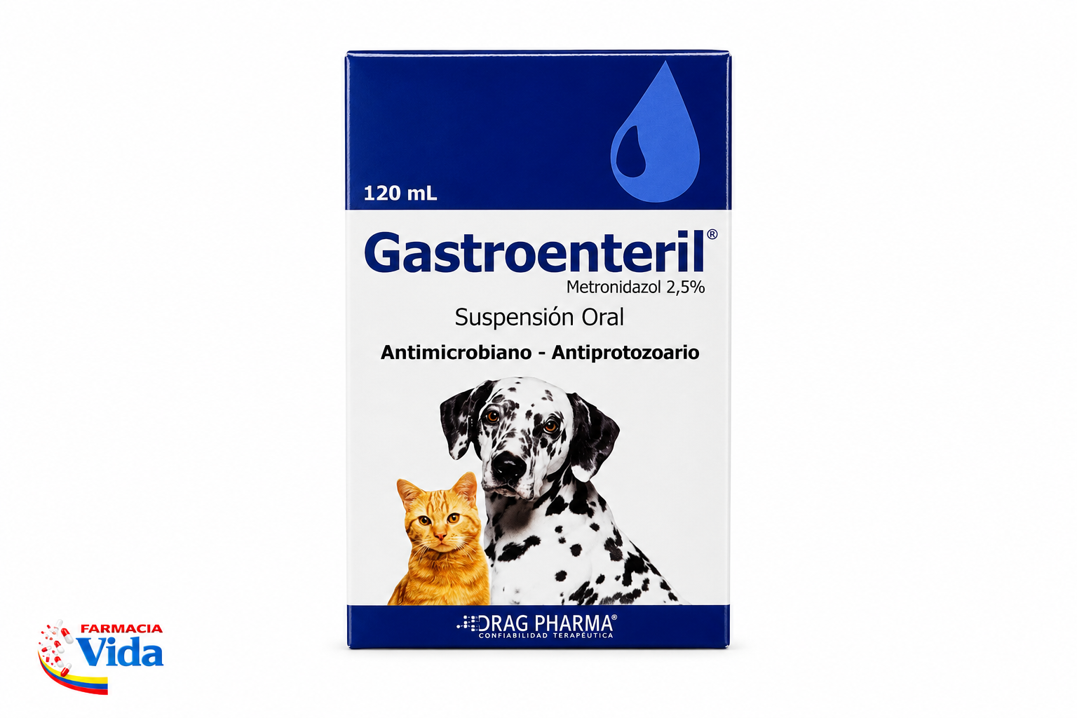 V GASTROENTERIL SUS. ORAL PERRO/GATO 120 ML