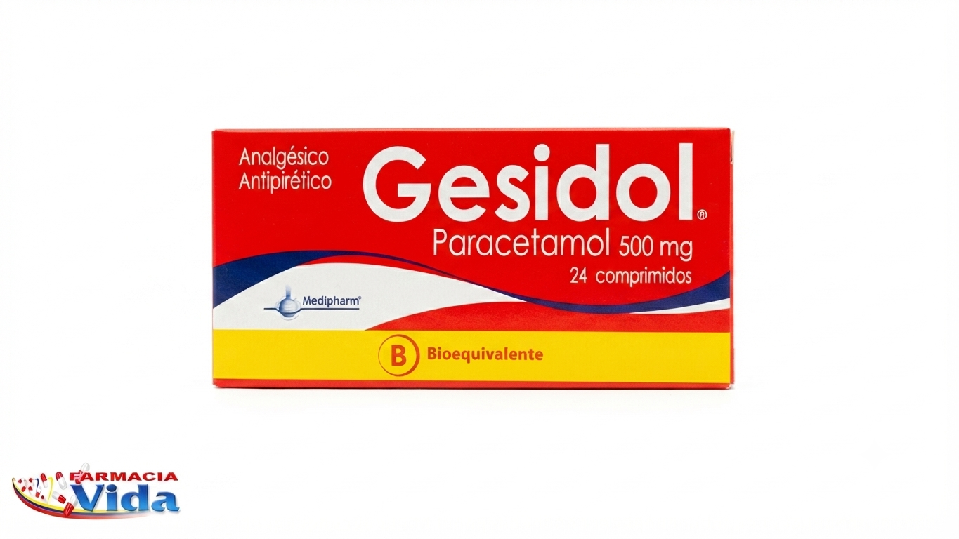 GESIDOL 500 GRS  24 UNID