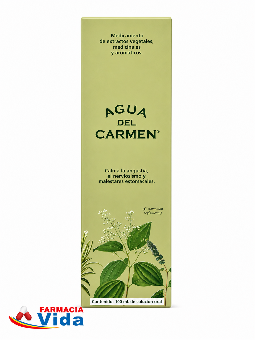 AGUA DEL CARMEN 100 ML