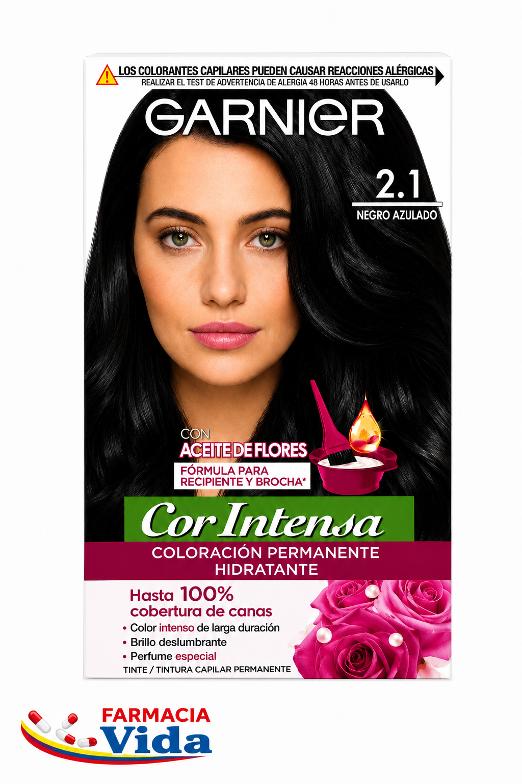 GARNIER COR INTERNA 2.1 NEGRO AZULADO
